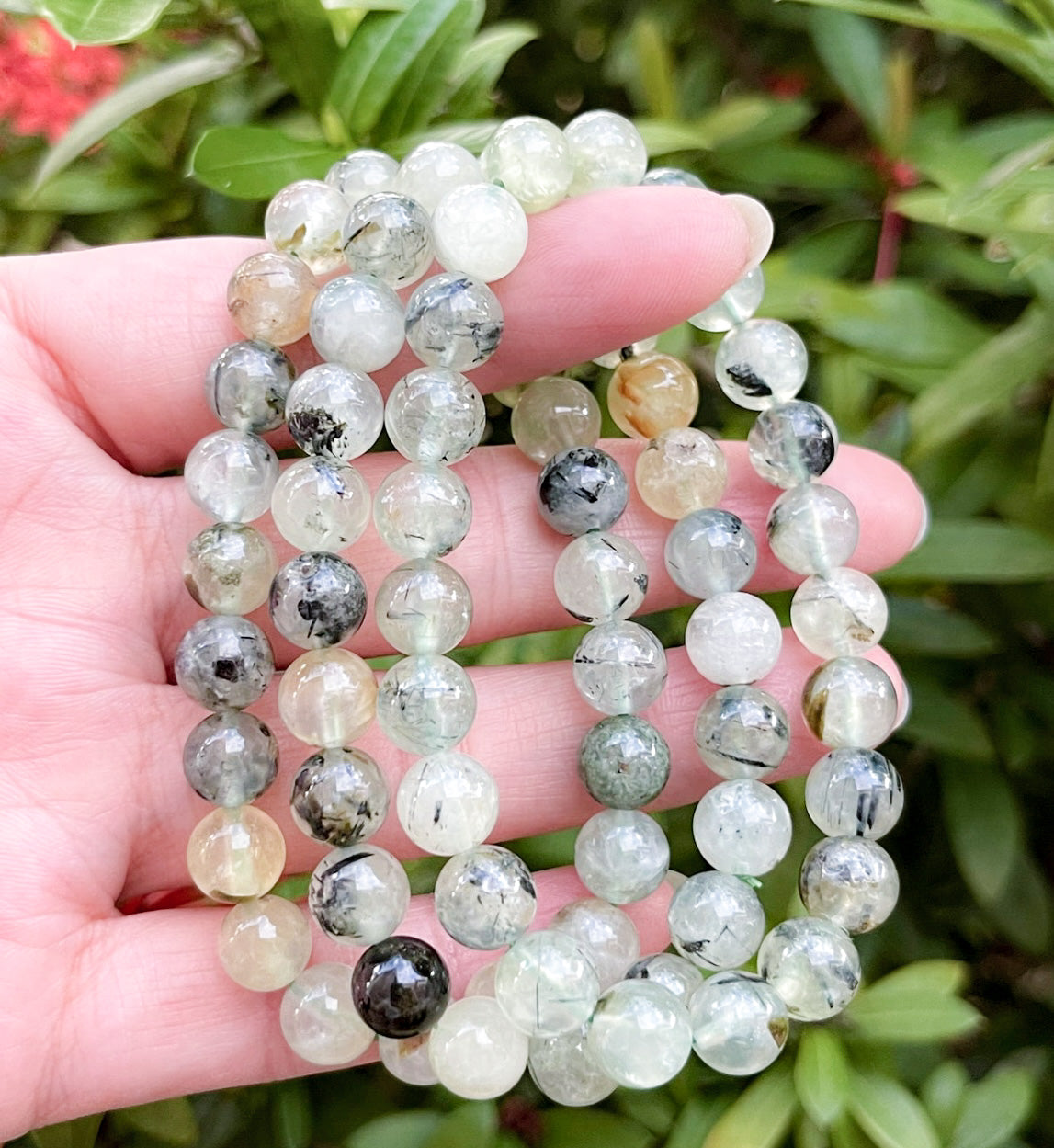 Prehnite Bracelet